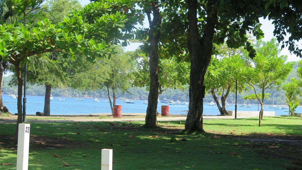 Hotel Coco Palms Playas del Coco Ngoại thất bức ảnh