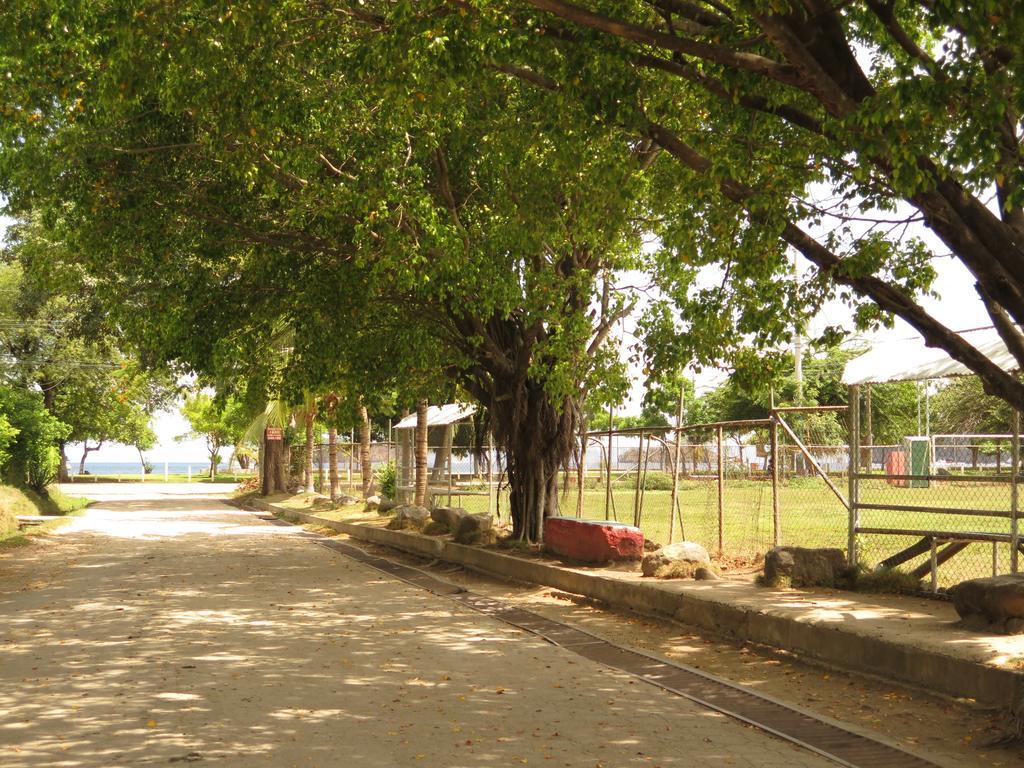 Hotel Coco Palms Playas del Coco Ngoại thất bức ảnh